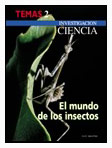 El mundo de los insectos